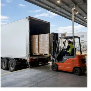 Sustainable Packaging Turnkey Industrial Package